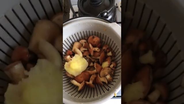 Как приготовить маслят смотреть онлайн