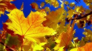 Листопад. песня 2