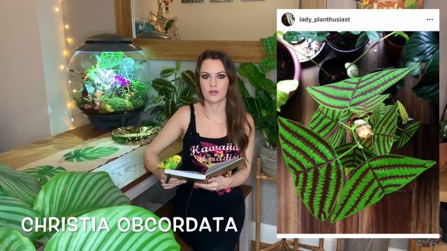 MY RARE PLANT WISH LIST! 🌺🌿INFO & TIPS 💚 смотреть онлайн