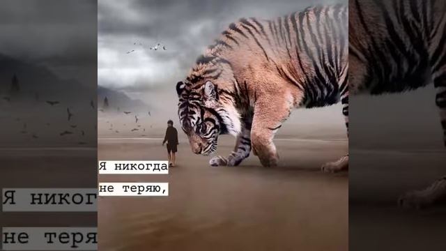 Лучшая Подборка Лучших Цитат Грустные, Смешные,Крутые Цитаты #1 смотреть онлайн