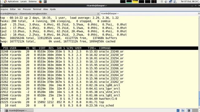 Oracle Tuning - Interpretando o TOP do Linux смотреть онлайн