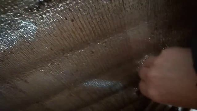 Вывезли опилки и демонтировали клетку