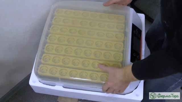 Это одни из лучших автоматических инкубаторов. Вместимость: 36, 64, 120, 176 яиц смотреть онлайн