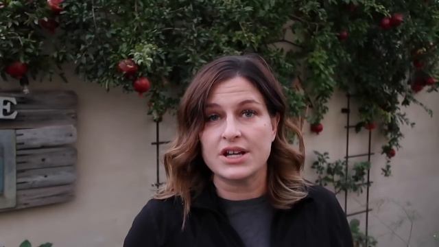 HOW to PLANT and GROW POMEGRANATES, plus WHEN to HARVEST, HOW to EAT, and what to do about BUGS смотреть онлайн