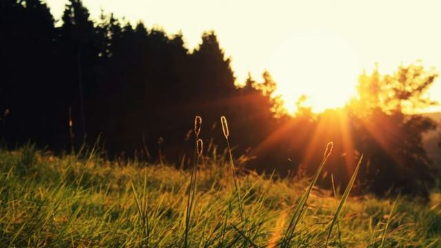 Как принять решение если есть сомнения? смотреть онлайн