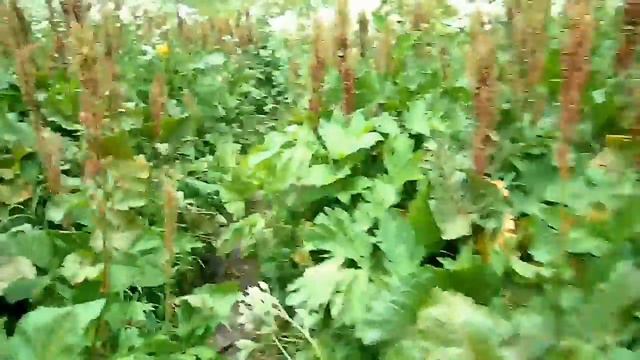 Озеро Рыбка, Дуккинские озёра смотреть онлайн