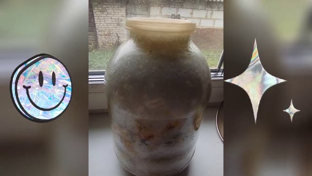 Одуванчики в сахаре (как идёт процесс) смотреть онлайн