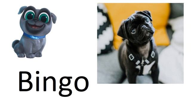 Puppy Dog Pals in Real Life! #bingoandrolly #disneyjr смотреть онлайн