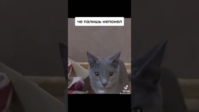 Секреты Творческого Прогресса