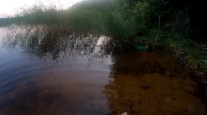 ЛОВИМ ЛЕЩЕЙ НА РЕЗИНКУ В ИЮЛЕ.Рыбалка на резинку, донку с начёвкой как в детстве