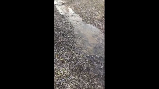 Дренажная система для септика на глине на своём участке/ водоотведение на участке своими руками смотреть онлайн