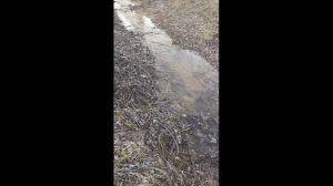 Дренажная система для септика на глине на своём участке/ водоотведение на участке своими руками