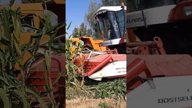 Силос в Тотия смотреть онлайн
