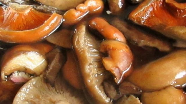 Сколько варить грибы смотреть онлайн