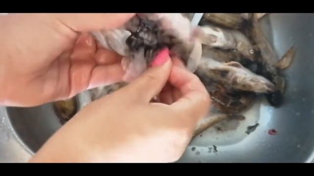 Секреты Творческой Силы