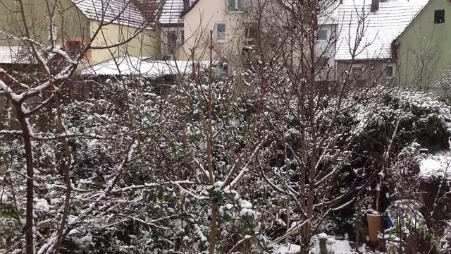 Wendlingen am Neckar: first snow 2014 смотреть онлайн