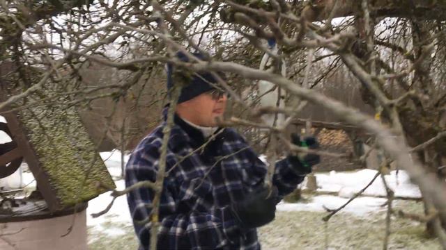про кормушки и не только............. смотреть онлайн