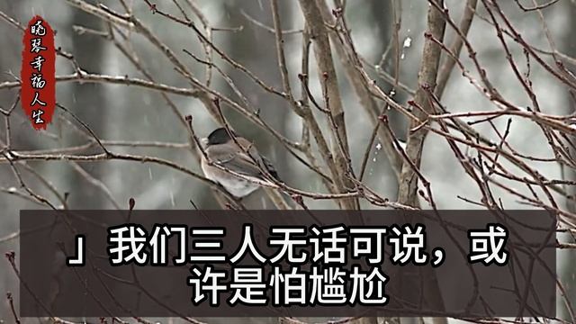 和暗恋十年的男人结婚，却被伤害车祸身亡，重生后预知真相，为逆转前世悲剧，我竟做出...... смотреть онлайн