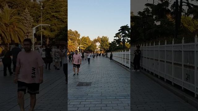 Мечеть Айя София и Мечеть Султанахмет смотреть онлайн