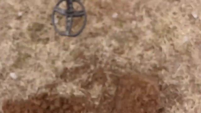 КОП МОНЕТ В СЛОЖНЫХ УСЛОВИЯХ... смотреть онлайн