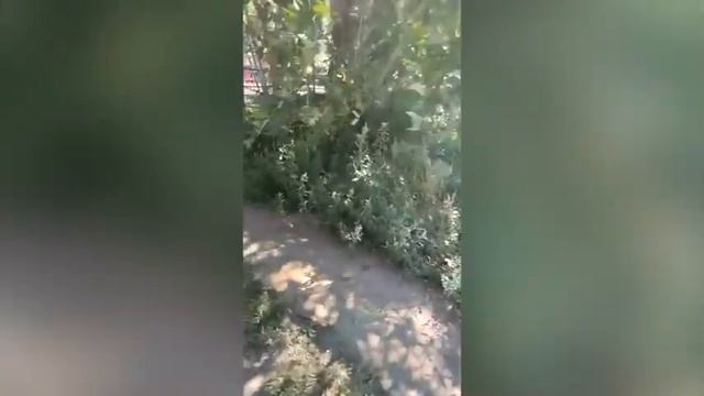 «ШИК ВКО» г.Шемонаиха состояние 3-го микрорайона на 05.08.2022г. смотреть онлайн