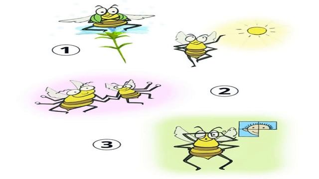 [Vibo4Kids]Why Do Bees Buzz? смотреть онлайн