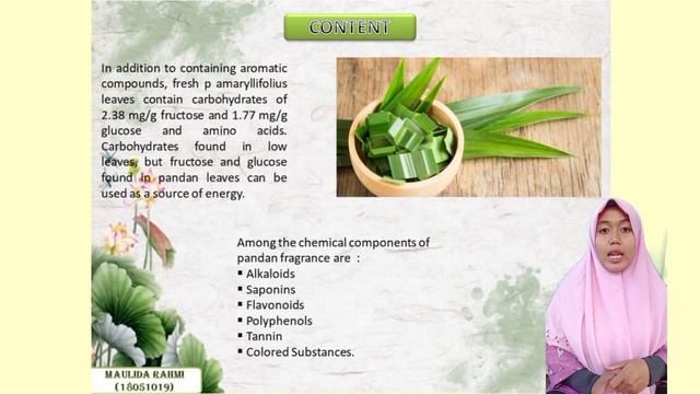 Fragrant Pandan Plant (Pandanus amaryllifolius) смотреть онлайн