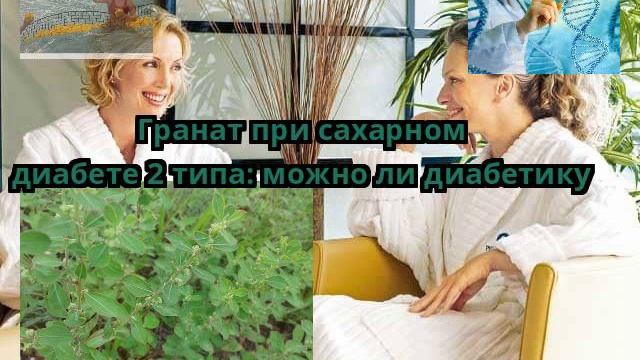 Гранат при сахарном диабете 2 типа: можно ли диабетику смотреть онлайн