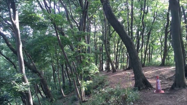 Лесопарк Нанасава. / Nanasawa forest park. Скрытая облаками гора Ояма. смотреть онлайн