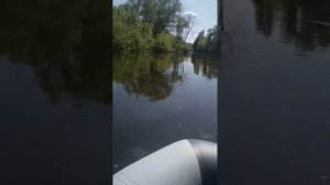 Лодки Таймень 2850 и Аква 3200 на моторах Тояма 3.6