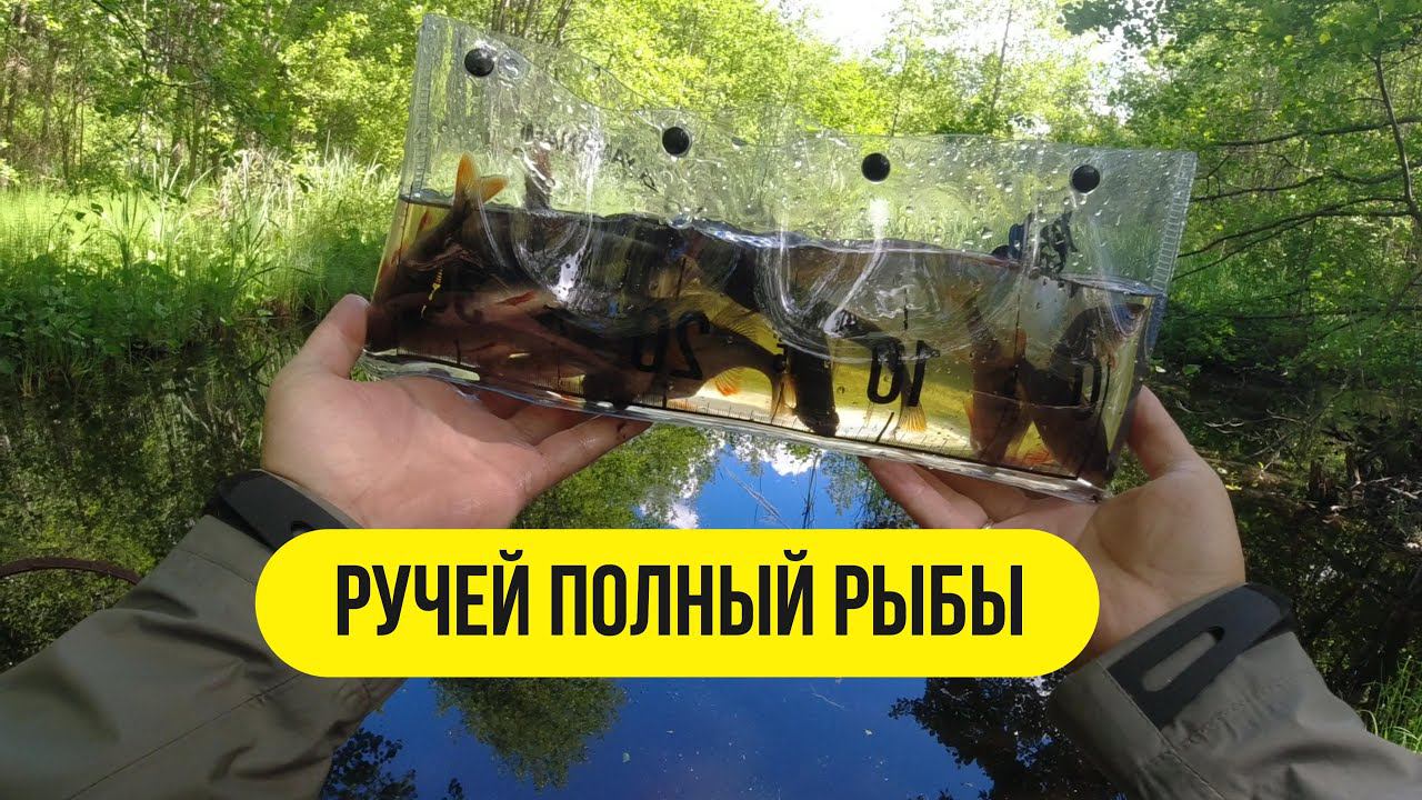 #мормышинг | Нашёл ручей полный рыбы | Безмотылка, силикон | смотреть онлайн