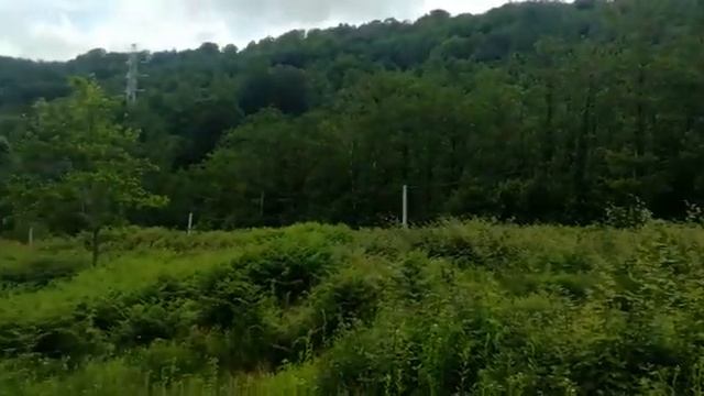 Участок 70 соток в п.Липники смотреть онлайн