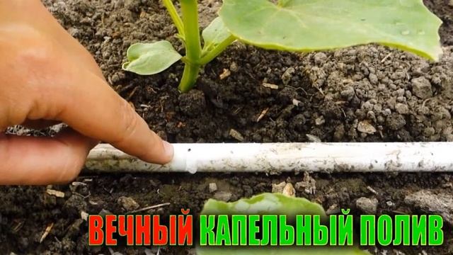 Капельный Полив Теплицы На Даче смотреть онлайн