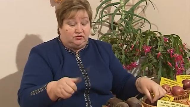 Сорта корнеплодов. смотреть онлайн