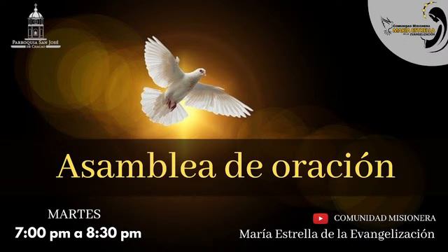 20/02/2024 Ganar el corazón de Dios. Layri Palma смотреть онлайн