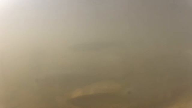 Тест Салапинской каши Salapin's Porridge Test