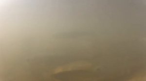 Тест Салапинской каши Salapin's porridge test