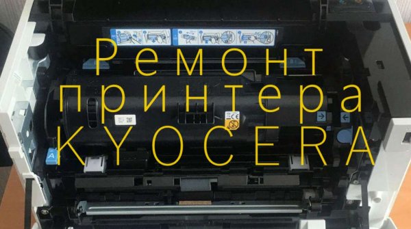 Восстановление принтера Kyocera. Ошибка "Замятие бумаги в кассете"