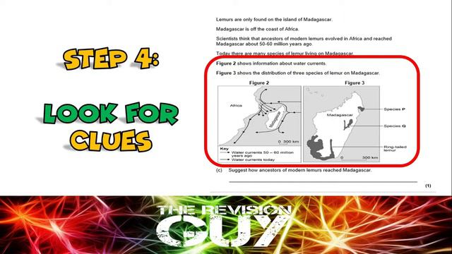 HOW TO REVISE: 5 SIMPLE STEPS TO ANSWER ANY EXAM QUESTION смотреть онлайн