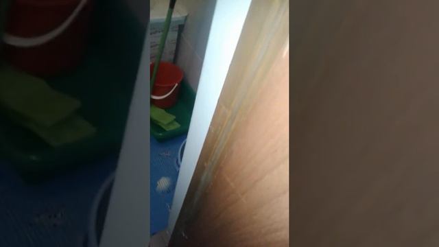 Это она знает команды что после улице надо мыть лапы смотреть онлайн