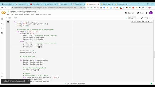 Image Classification Model from Scratch using PyTorch and Python смотреть онлайн
