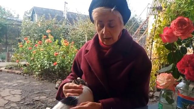 Всем привет и обо всем понемногу🌹🍁Славянск 9 октября 2023 смотреть онлайн
