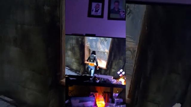 bug mania смотреть онлайн