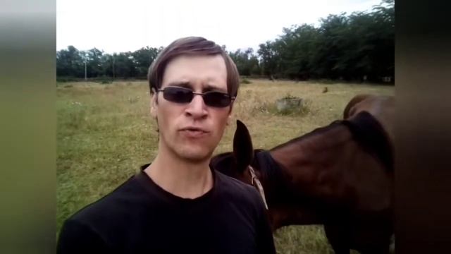 Сказка о чудесном суде и волшебных фразочках. смотреть онлайн