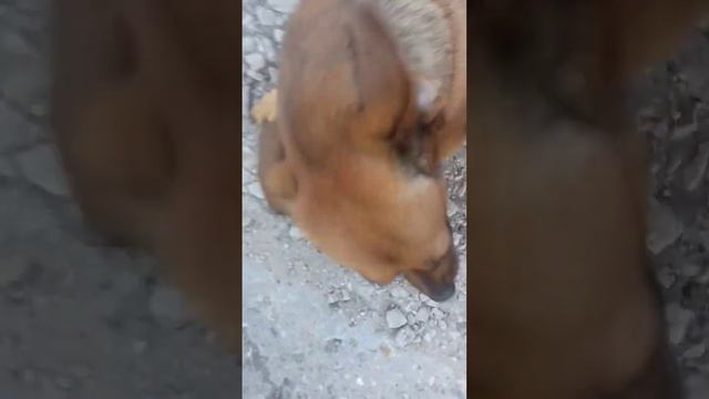 У каждого из нас в жизни есть дорогие и родные нашему сердцу места. смотреть онлайн