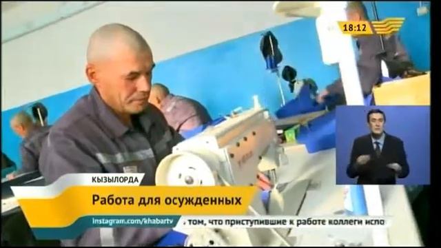 В колонии строгого режима трудоустроено 67 заключенных смотреть онлайн