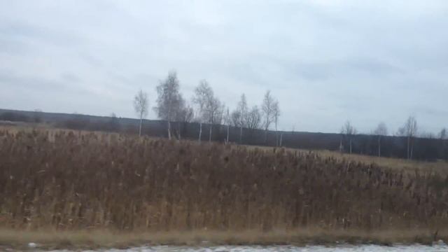 IMG 0201 смотреть онлайн