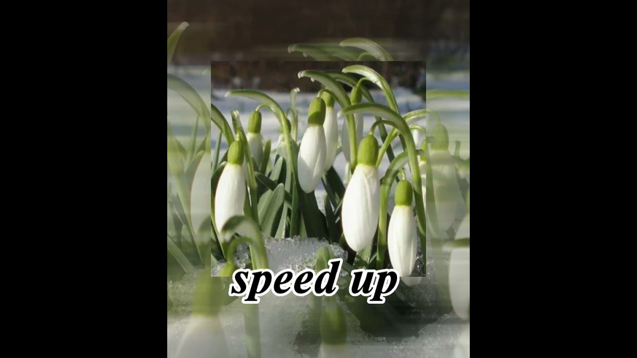 чумачечая весна(Потап и Настя)-speed up!!ПОЛНАЯ ВЕРСИЯ И ОСТАЛЬНЫЕ РЕМИКСЫ УЖЕ НА КАНАЛЕ!!#shorts смотреть онлайн