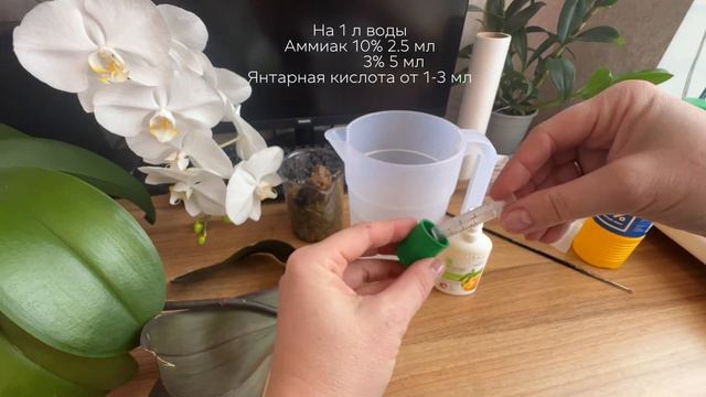 КОРНИ за Два месяца в 20 минутах смотреть онлайн