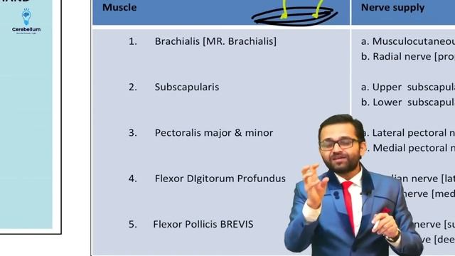 Bullet Train - Anatomy Revise Important Topics & PYQs by Dr. Shrikant Verma | Cerebellum Academy смотреть онлайн